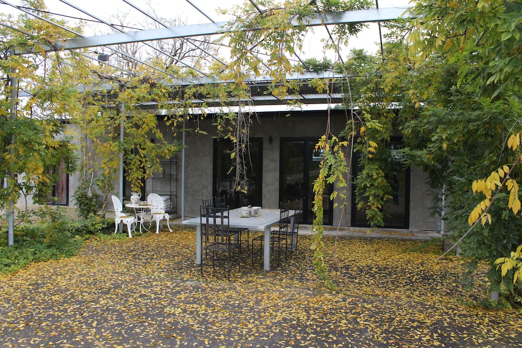 Terrace with autumn Wisteria vines