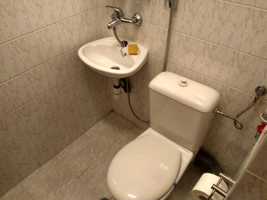 this is your private WC with a shower