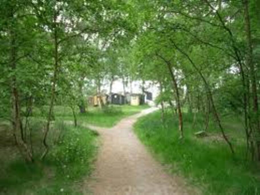 Stigen till stranden
