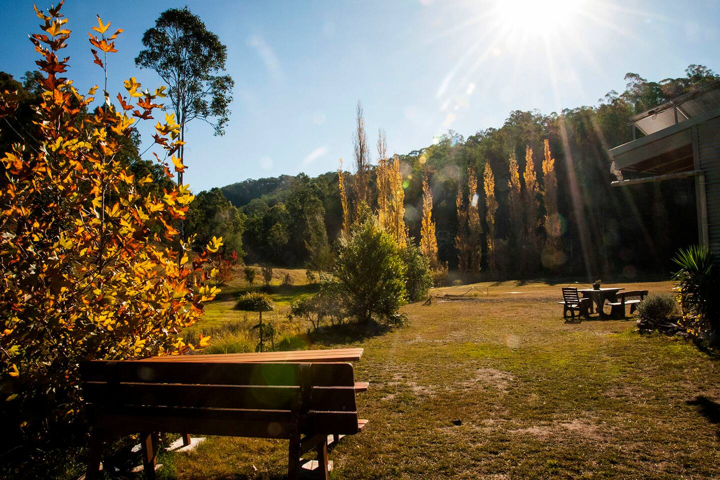 Knights Ridge Modern Eco Cabin And Acreage Houses For In Autumn Colours Surround