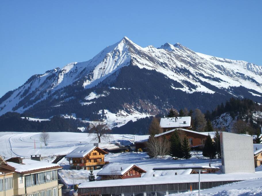 VUE SUR PISTE SKI DE FOND ET PIC CHAUSSY