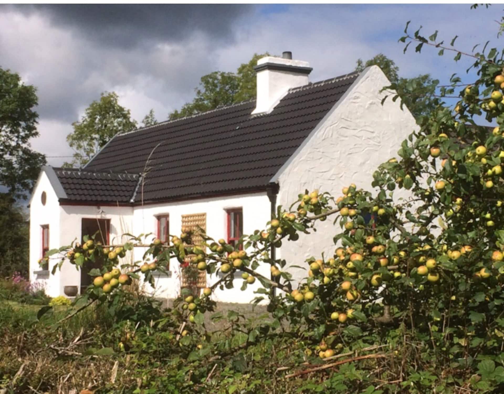 Dempsey's cottage lovingly restored well equipped