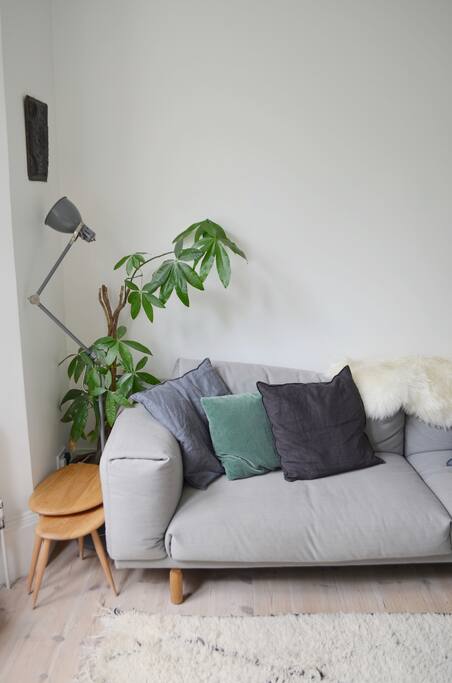 Favourite cosy spot on the sofa