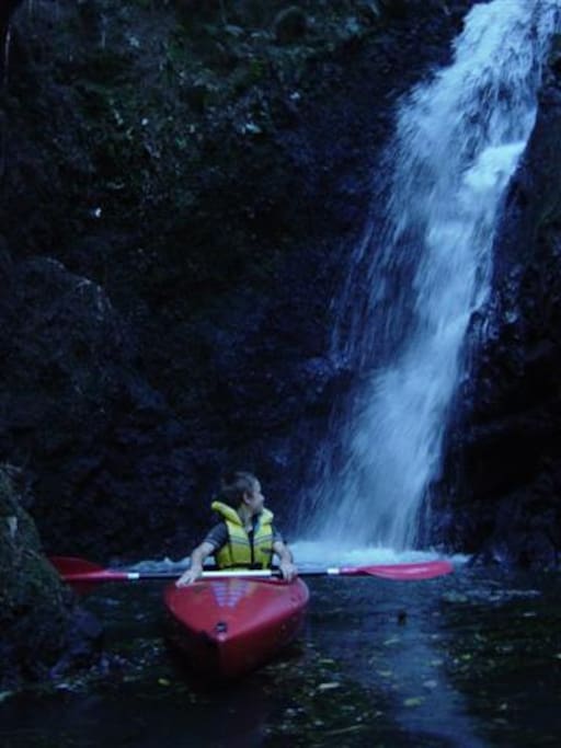 Kayak to the waterfalls