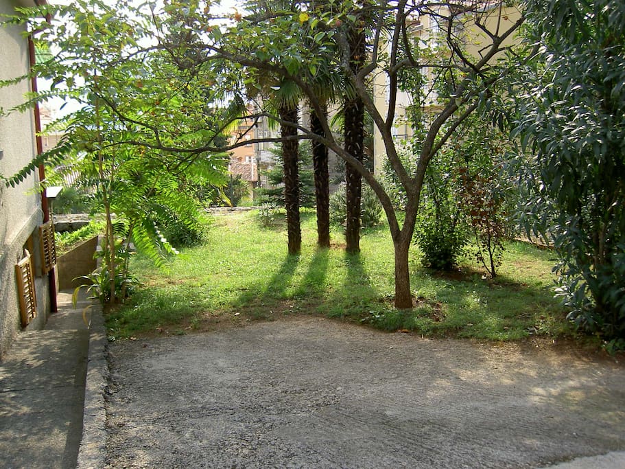 Free parking space under the fruit tree