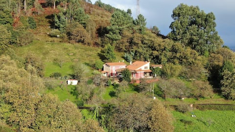 Aldea, her home in the paradise (VV554)