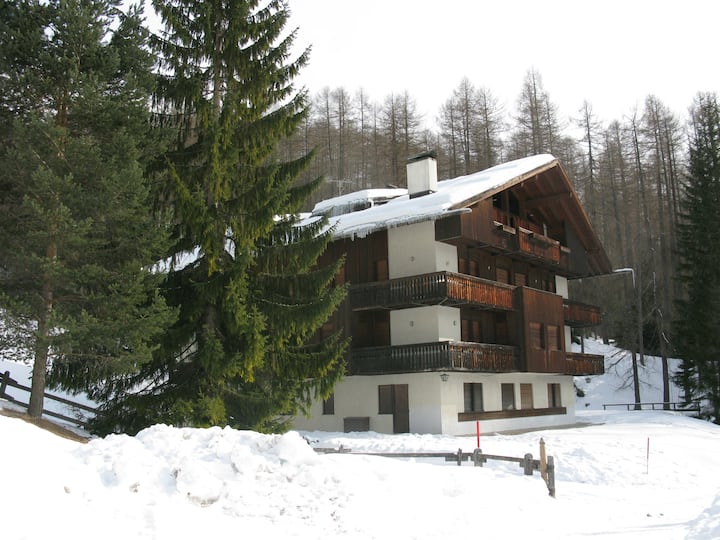 Intimo E Silenzioso Appartamento - Cortina d'Ampezzo