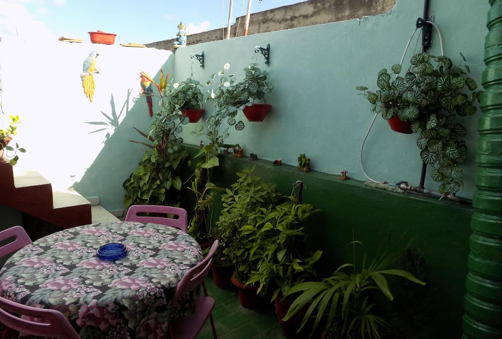 Terraza