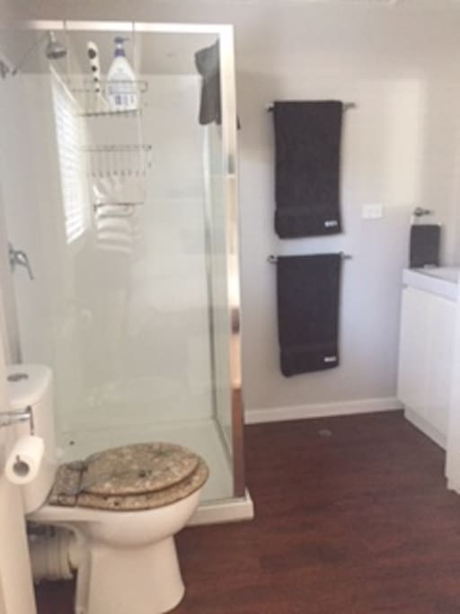 Bathroom (open plan within Bedroom)