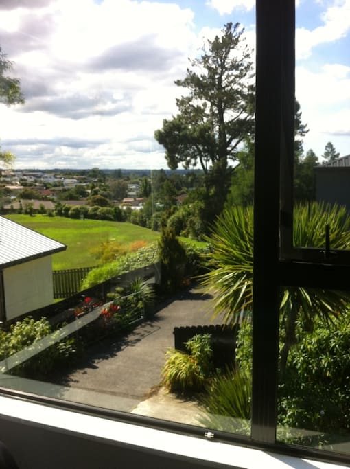 view from the lounge