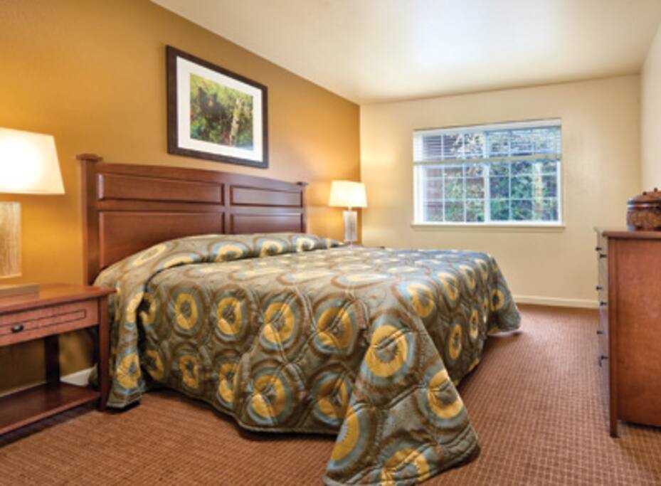 This picture does not show the specific unit being rented. The unit rented will be based on which units are available upon check-in. These pictures are meant to show the property and an example of the room style and décor.
