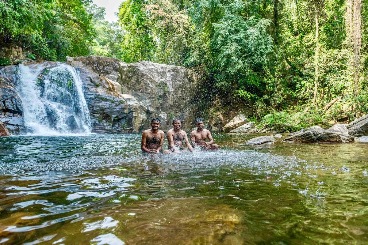 A serene water body is surrounded by lush greenery, showcasing a waterfall cascading over rocky outcrops. Three individuals are seated in the water, creating gentle splashes while enjoying the natural surroundings. The scene reflects the tranquility of the Sinharaja Rain Forest.