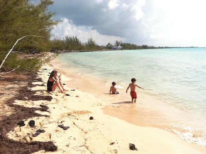 The Tree House, Eleuthera, Bahamas Houses for Rent in Current, North Eleuthera, Bahamas Airbnb