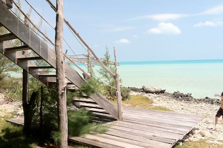 The Tree House, Eleuthera, Bahamas