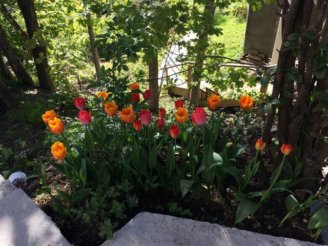 Moderne og romslig hus, flott utsikt, Ekeberg. gallery image 5