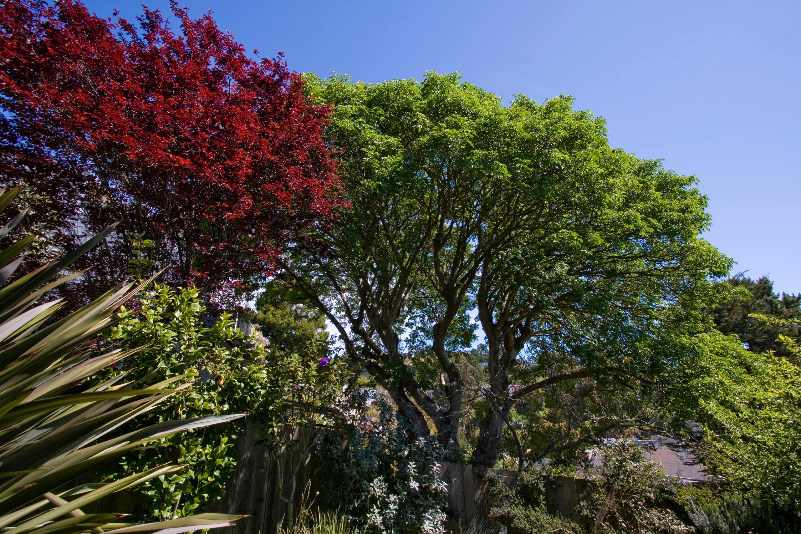 Home in San Francisco · ★4.89 · 1 bedroom · 1 bed · 1 bath - Image 15