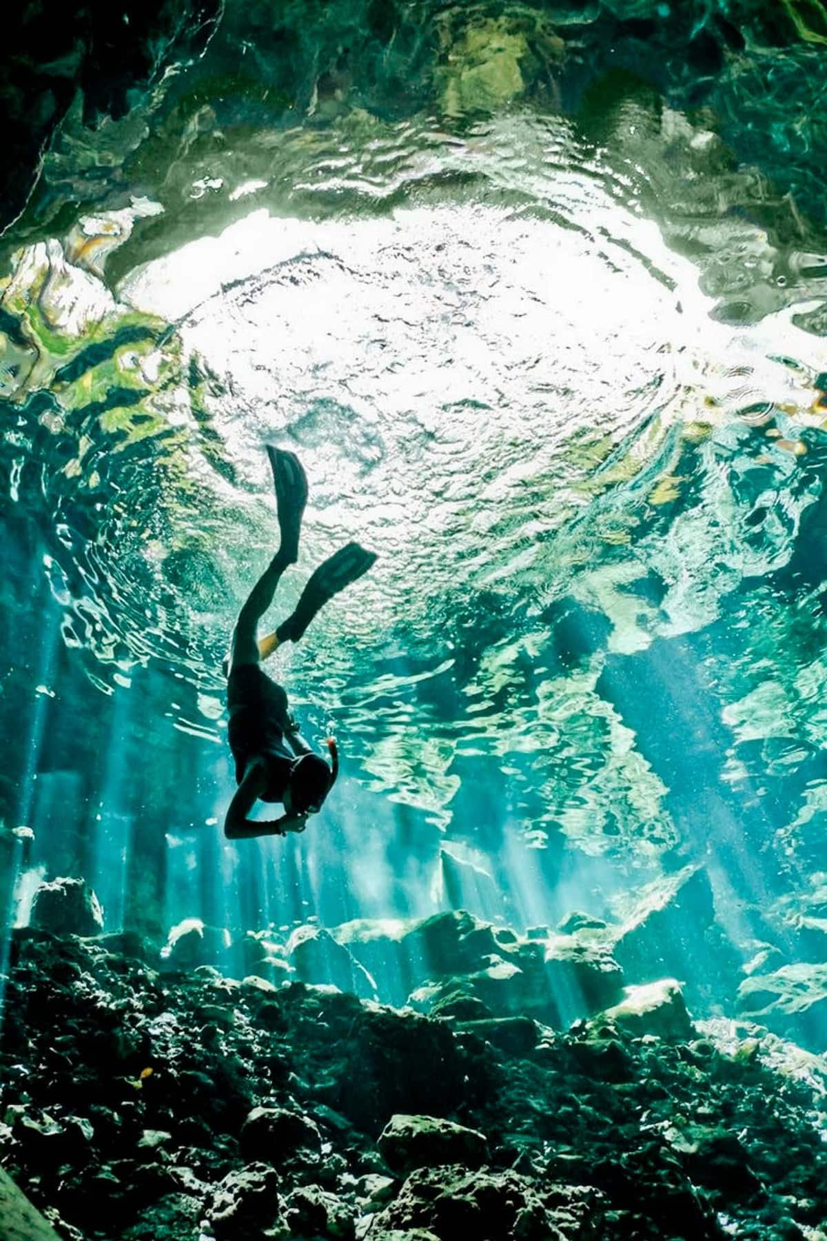 Merida tours: Swimming in the crustal clear waters of a cenote in Yucatan Peninsula, Mexico