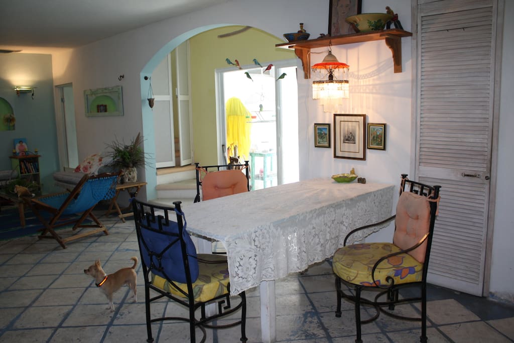 Dining with view of back yard
