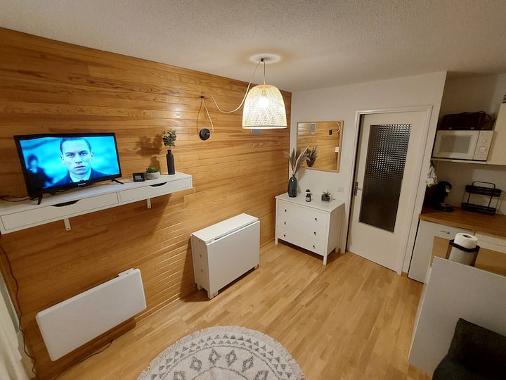 Joli Studio 4 Couchages Aux Pieds Des Pistes - Puy-Saint-Vincent