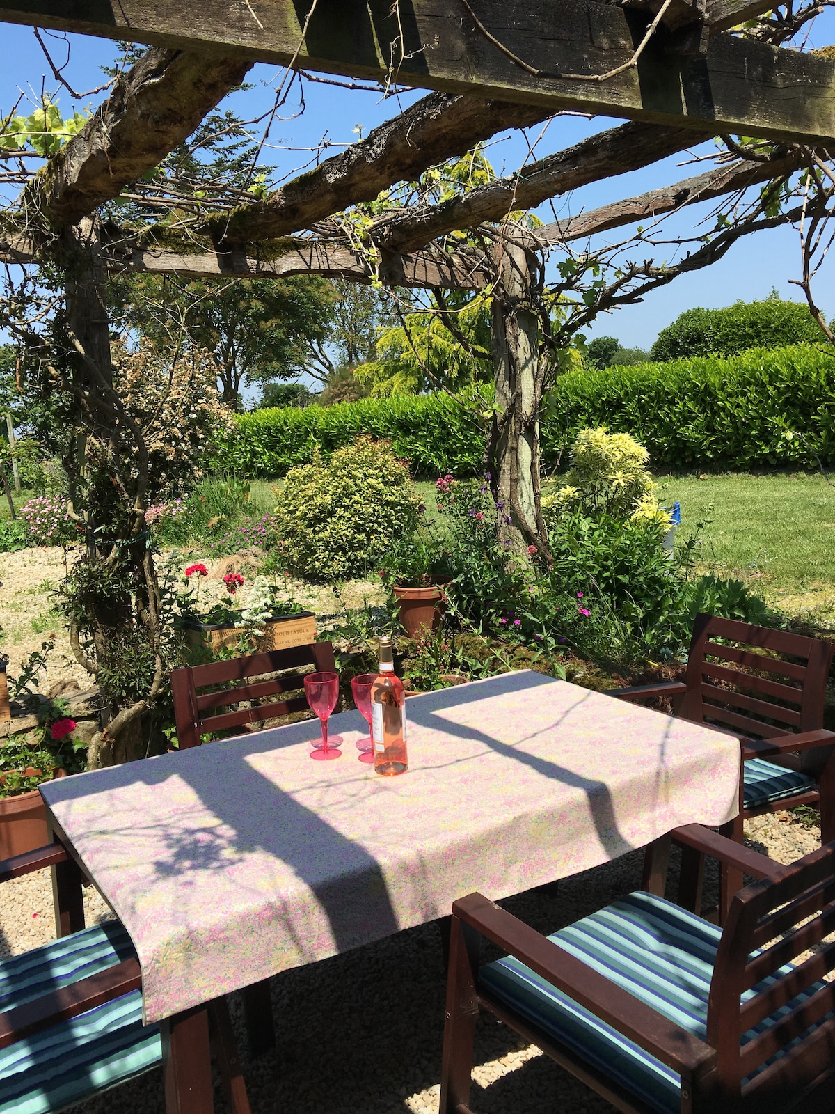 A shaded outdoor seating area is featured under a wooden pergola, adorned with vines. A table is set with two glasses and a bottle, surrounded by vibrant garden plants and flowers, creating a serene spot for relaxation in the countryside.