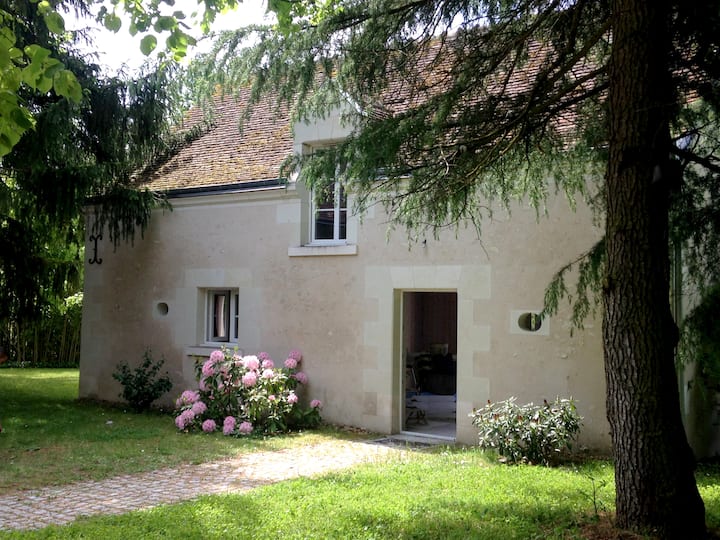 appartement tours avec piscine