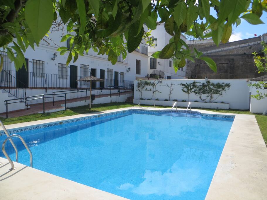 Communal pool and garden