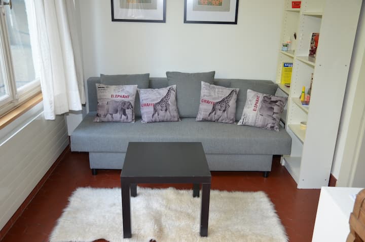 Gemütliches Apartment Nähe Messe Und Rhein (289) - Basel