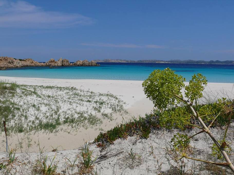 spiaggia