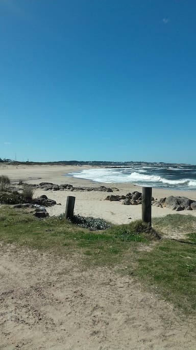 ESTA PLAYA ES MONTOYA LUEGO SEGUIDA BIKINI