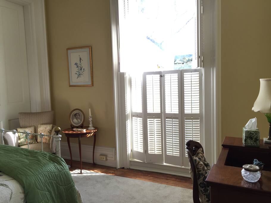 This sunny window looks out over a garden and horse pasture.