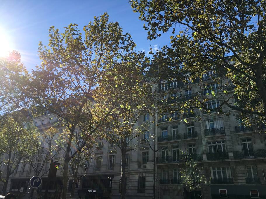 immeuble haussmanien