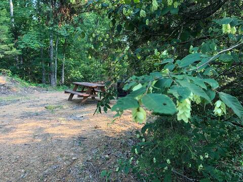 #2 Sunny Shire has a fire pit and  picnic table