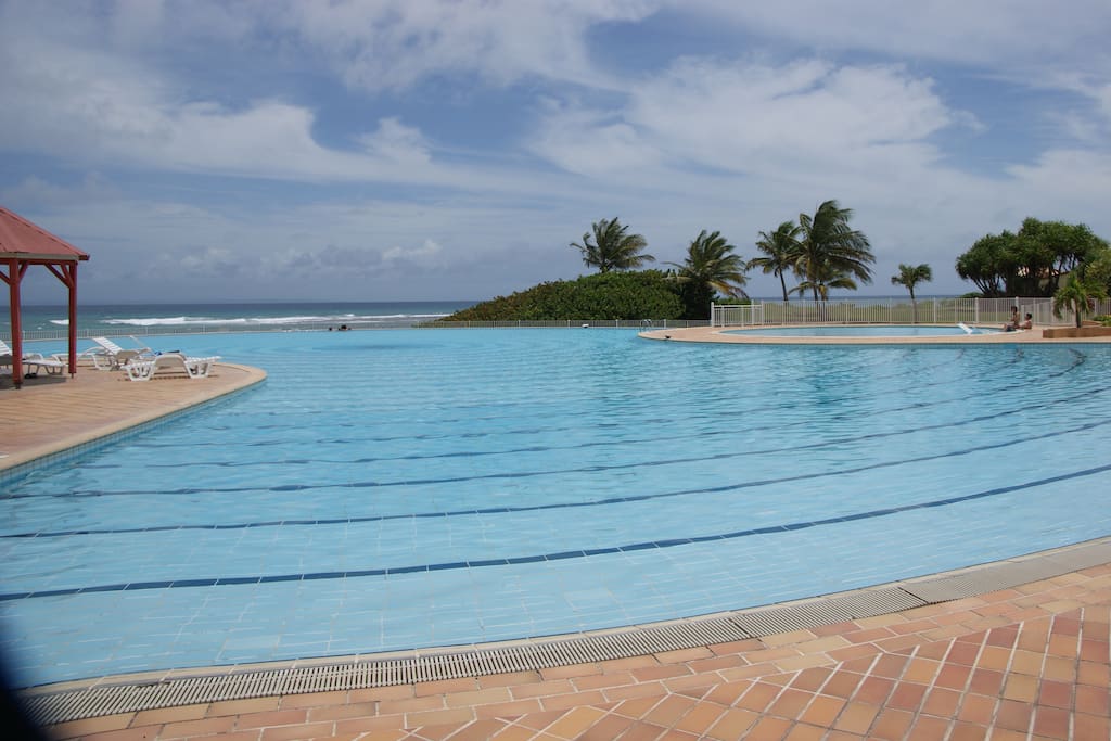 piscine de 1350m²