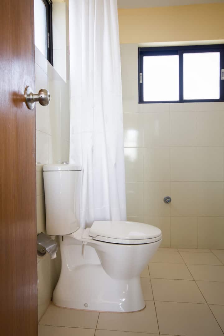 Salle de bains avec douche et toilettes