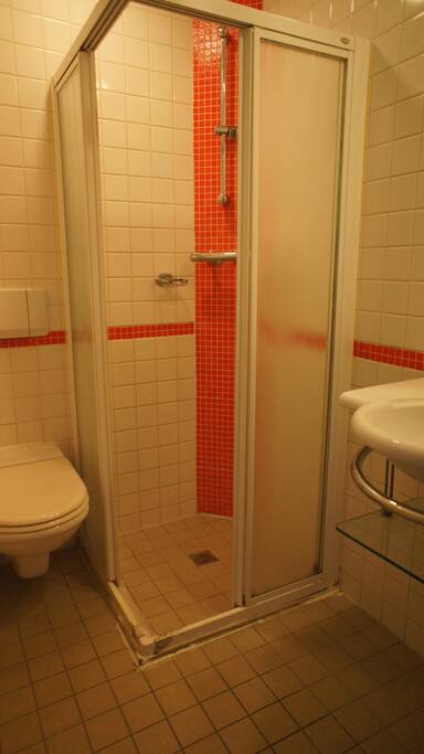 private bathroom with toilet, sink and shower