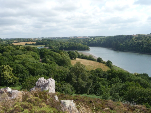 A scenic view captures a river winding through lush greenery and fields. The landscape features rolling hills, dense trees, and open grassy areas, conveying a sense of tranquility. Soft clouds float overhead, enhancing the peaceful natural setting.