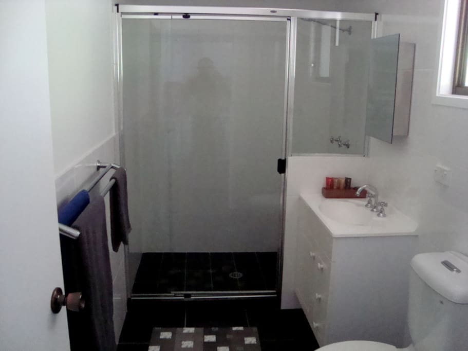 Modern roomy bathroom