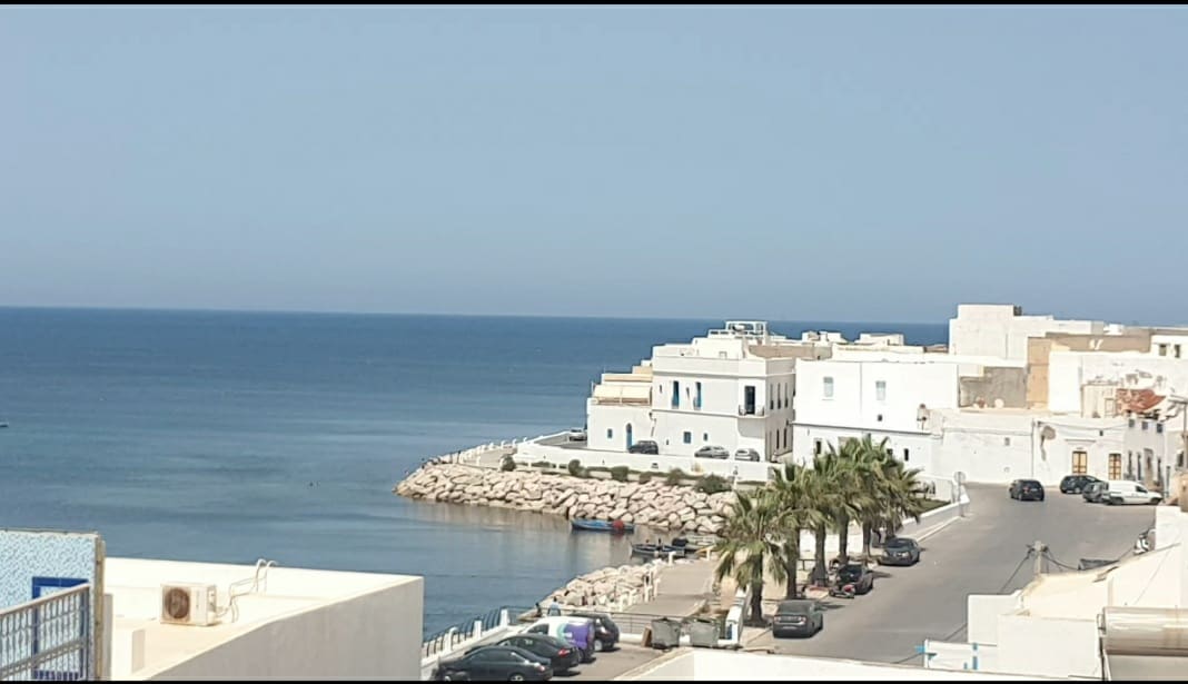 A coastal view showcases a calm sea meeting a shoreline lined with sandy beaches. White buildings with blue accents are visible along the waterfront. Palm trees provide greenery, while a paved road accommodates parked vehicles, enhancing the tranquil atmosphere of the seaside area.