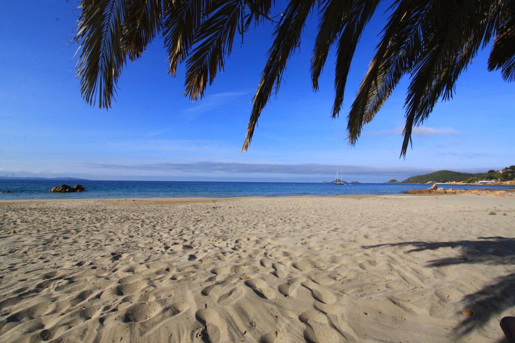 plage de la terre sacree a moins de 300metres