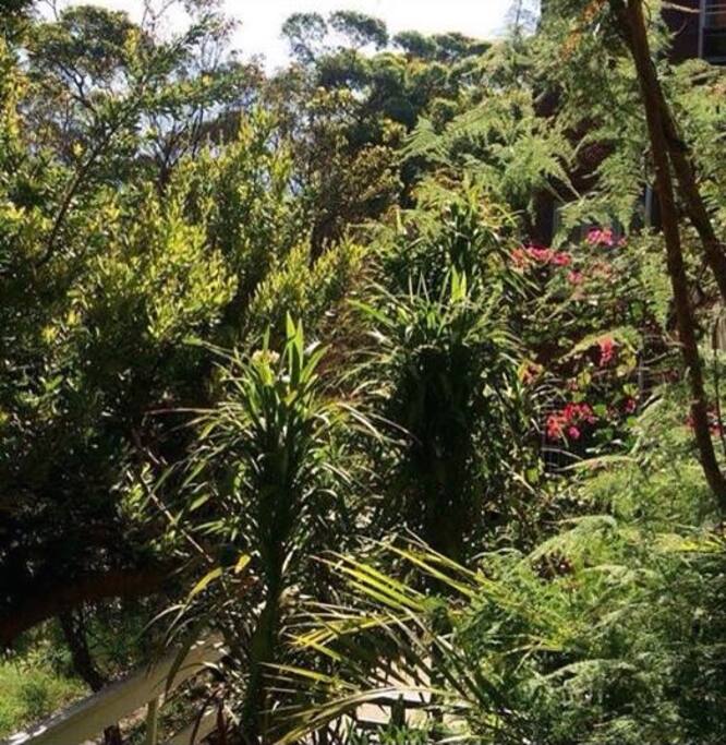 outlook from balcony