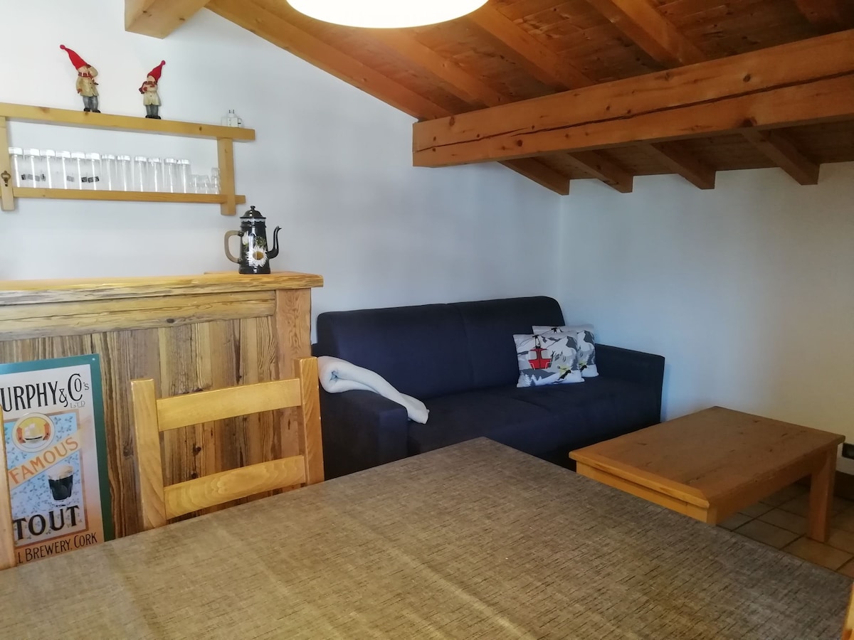 Top Airbnb: Apartment with Mont Blanc view in Demi Quartier