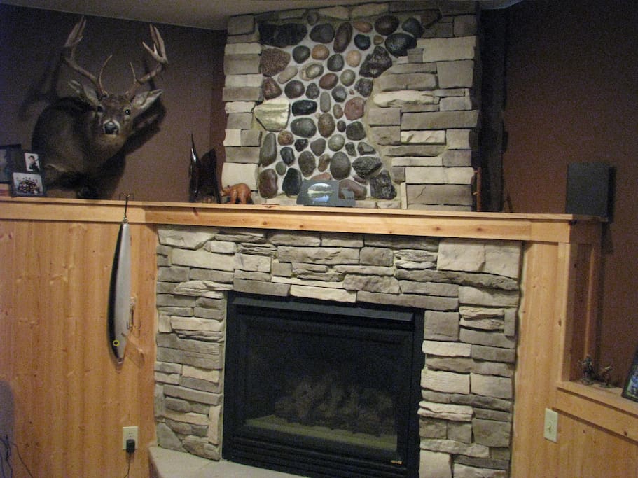 Fireplace in downstrairs living room
