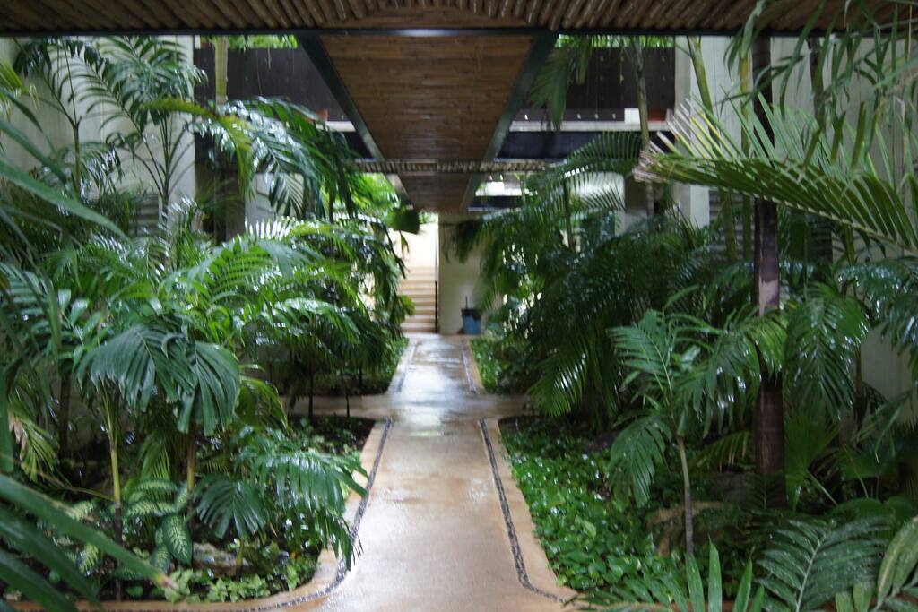Entry Walk