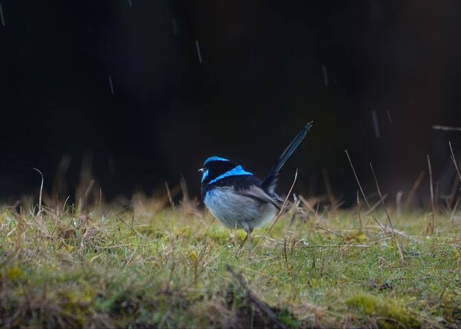 Cradle Mountain lakeside Homestead gallery image 3