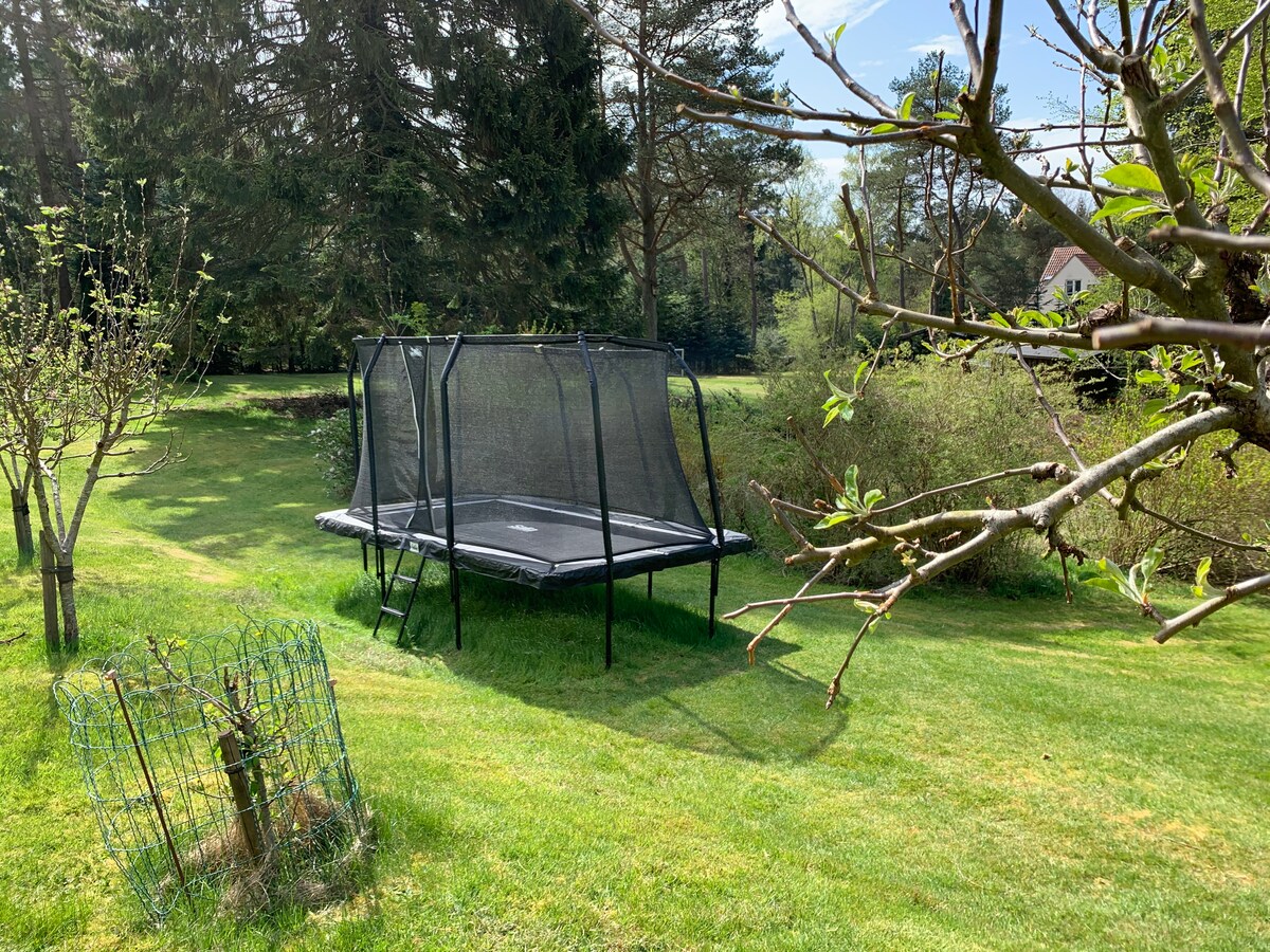 A large trampoline is situated on a grassy lawn, surrounded by trees and greenery. The trampoline features a black safety netting and is positioned in an open area, providing a spacious outdoor environment for activities.