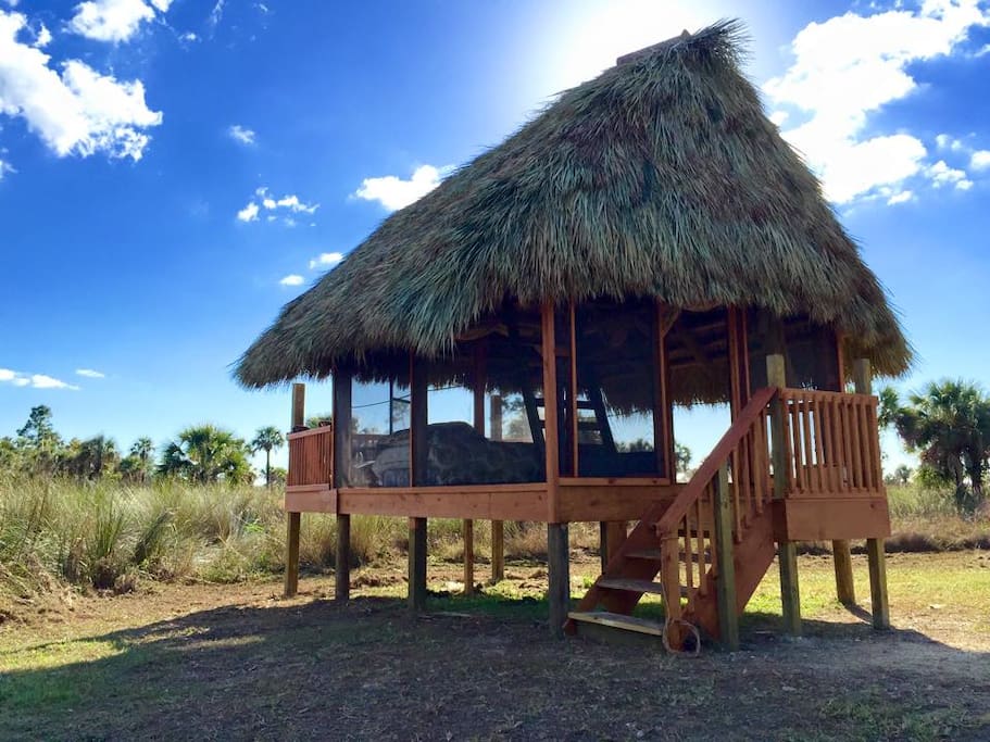 Safari Glamping Chickee Hut for 4 Houten huisje te Huur in Ochopee