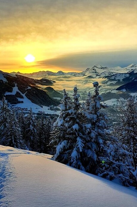 A serene winter landscape is captured at sunrise, with snow-covered mountains and trees. Soft sunlight casts a warm glow over the snowy terrain, while mist blankets the valley below, creating a peaceful and scenic view of the surrounding nature.