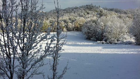 gîte le panache at chalet les écureuils