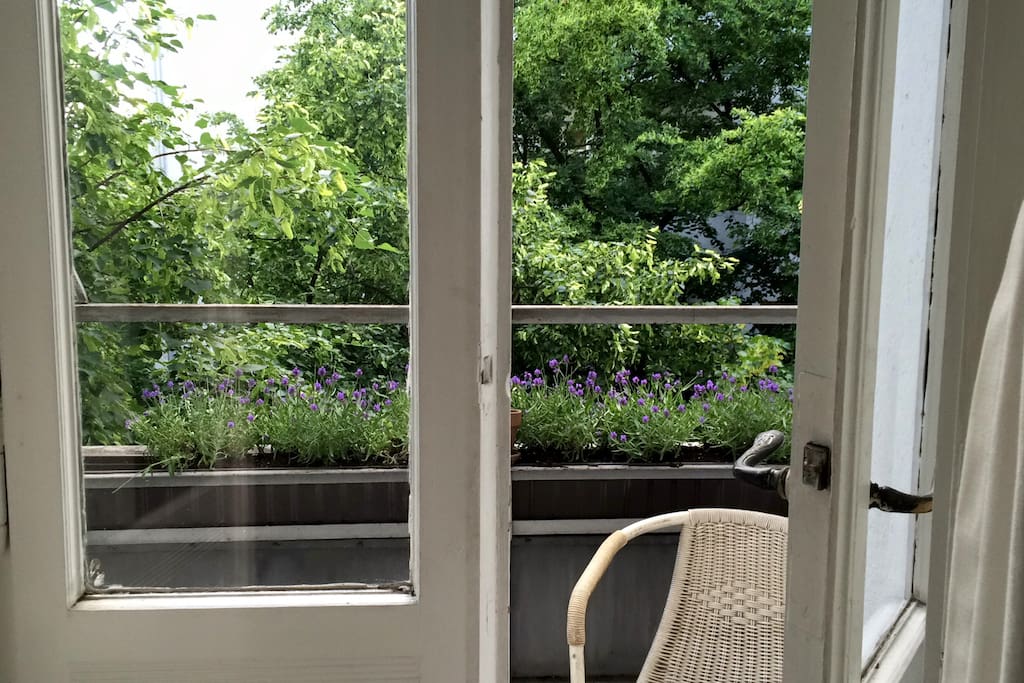 Lavandel Balcony.