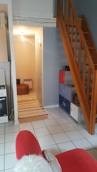 porte d'entrée au fond à droite et salle de bain à gauche